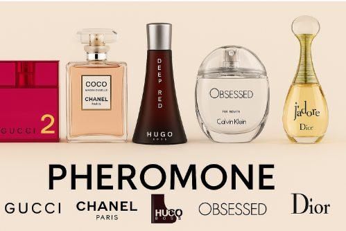 العطور الفرمونية – سر الجاذبية والتفاعل العاطفي
