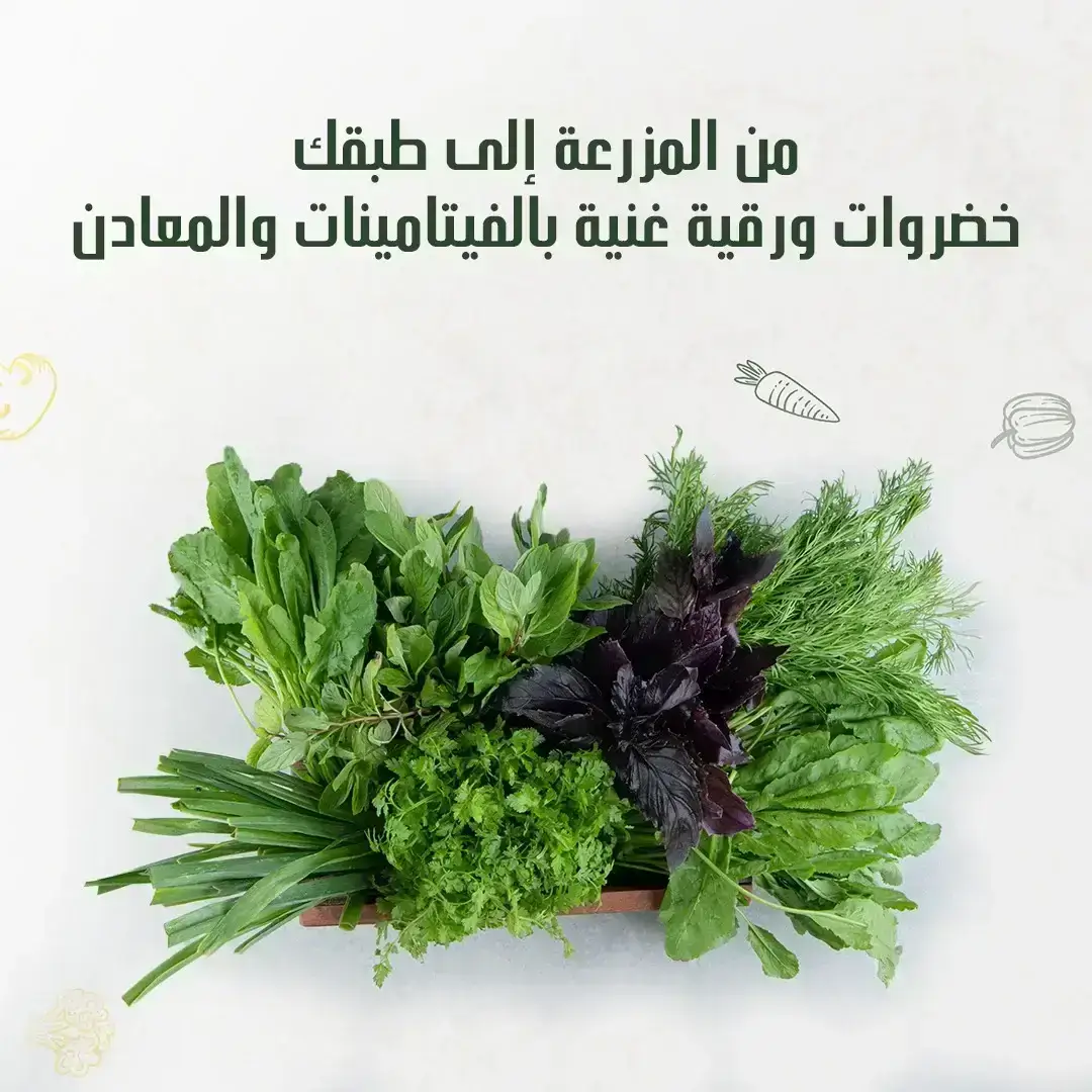 كوبون خصم جوافة للاغذية المختصة خضروات طازجة من المزرعة الى مائدتك توفرها جوافة